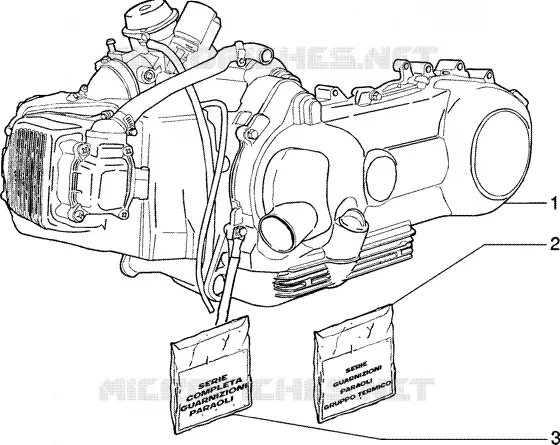 MOTOR