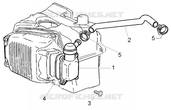 Oil drain valve