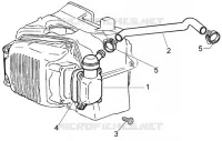 Oil drain valve