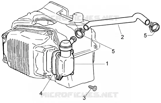 Oil drain valve