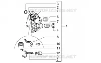 Component parts of rear hub