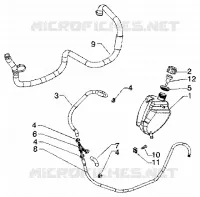 Case  helmet
