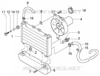 Wasserradiator