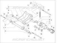 Schwingarm